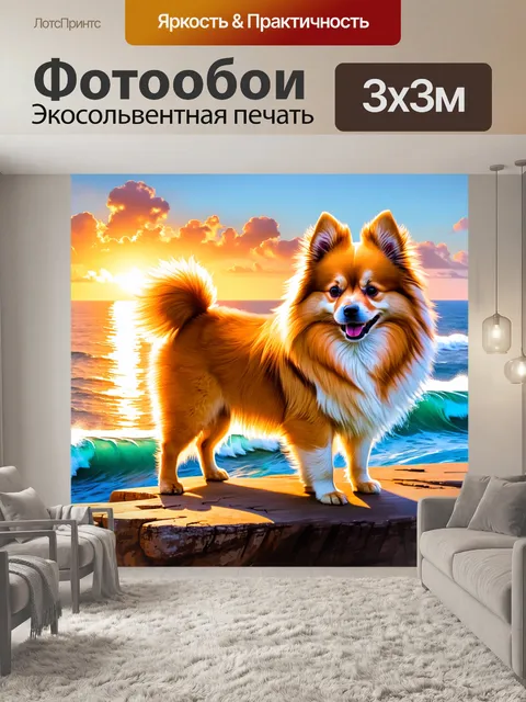 Фотообои создайте изображение померанского шпица, стоящего на краю утеса, с морской волной на фоне заката