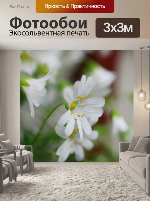 Фотообои Цветы