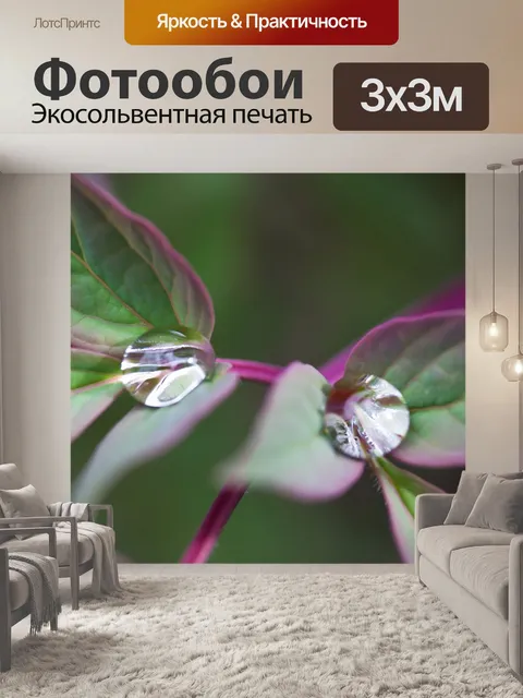 Фотообои Пион