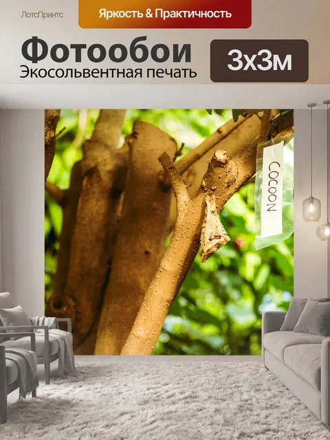 Фотообои Дерево