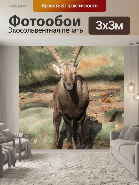 Фотообои Козерог