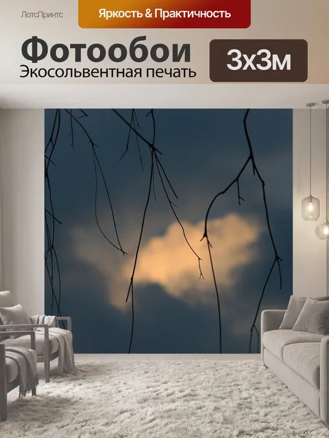 Фотообои веточки с облаком