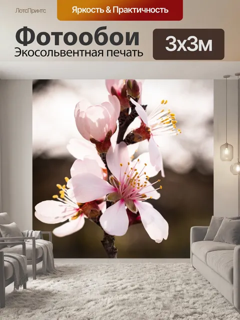 Фотообои Цветы