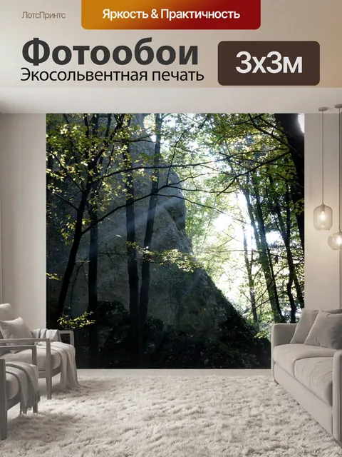 Фотообои Деревья