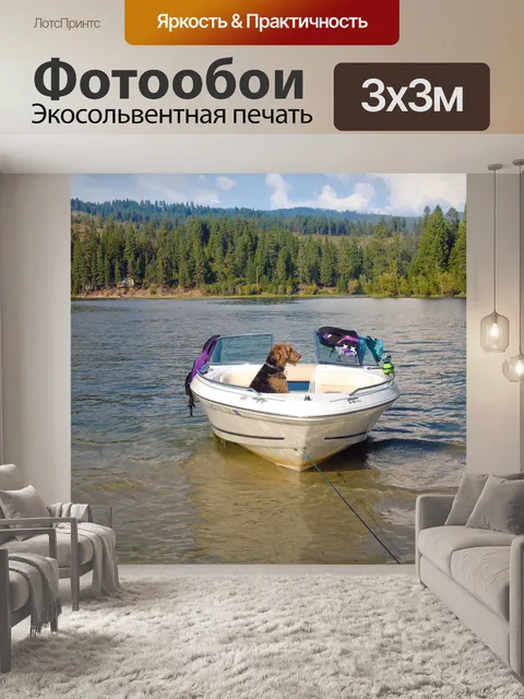 Фотообои Собака в лодке