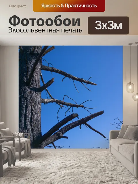 Фотообои Сожженный Ствол дерева