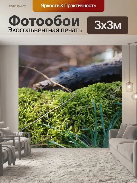 Фотообои Мох