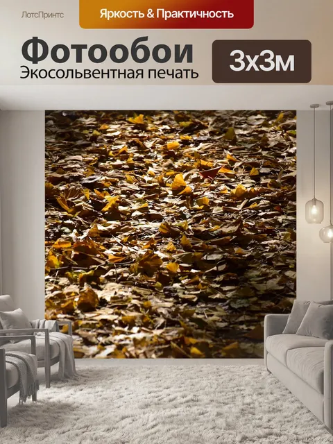 Фотообои Фон