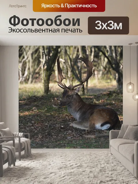 Фотообои Олень