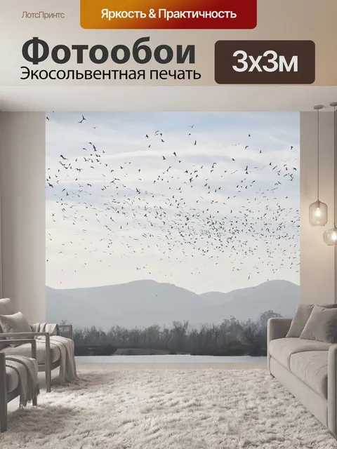 Фотообои Стадо