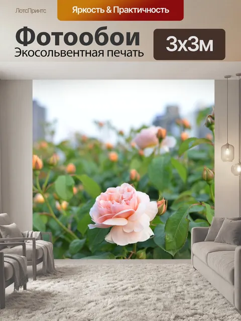 Фотообои Городской парк
