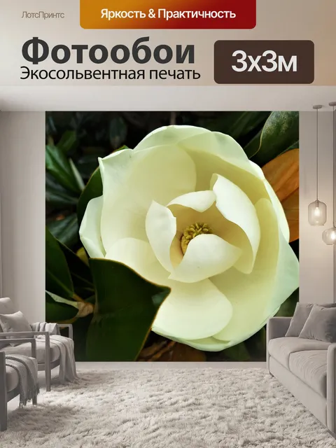 Фотообои Бутон цветка белой магнолии