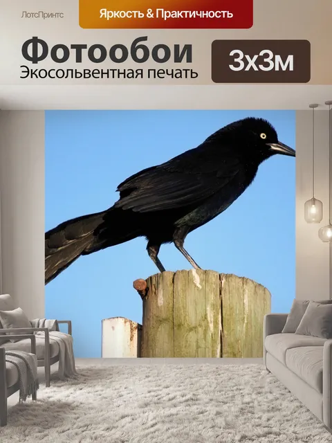 Фотообои Пляж Птица 2