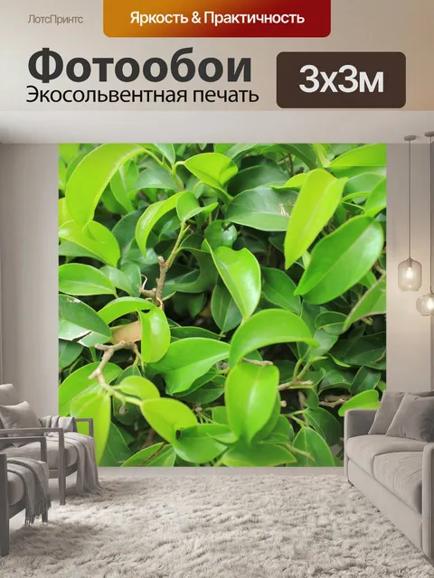 Фотообои Зеленые листья