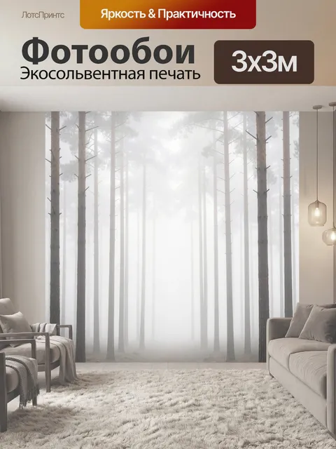 Фотообои Туманный лес с высокими соснами