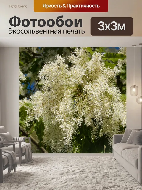Фотообои Цветы