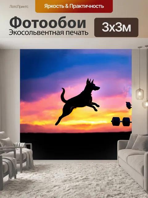 Фотообои бельгийская овчарка малинуа