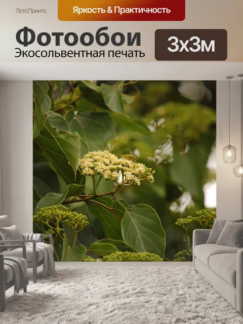 Фотообои Зеленая вонь-ошибка на цветах