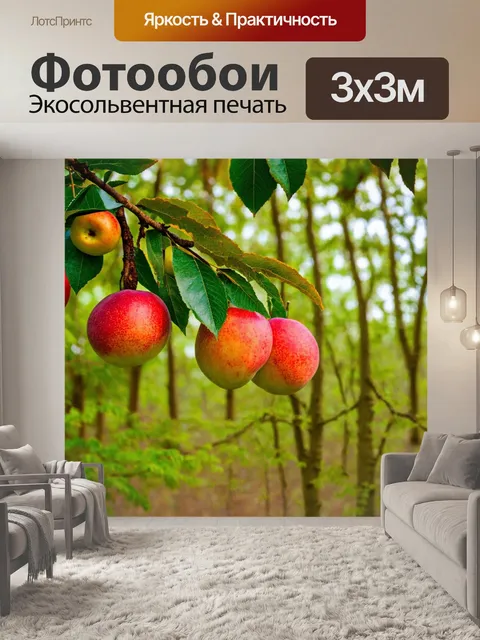 Фотообои лес с спелыми фруктами, свисающими с ветвей деревьев