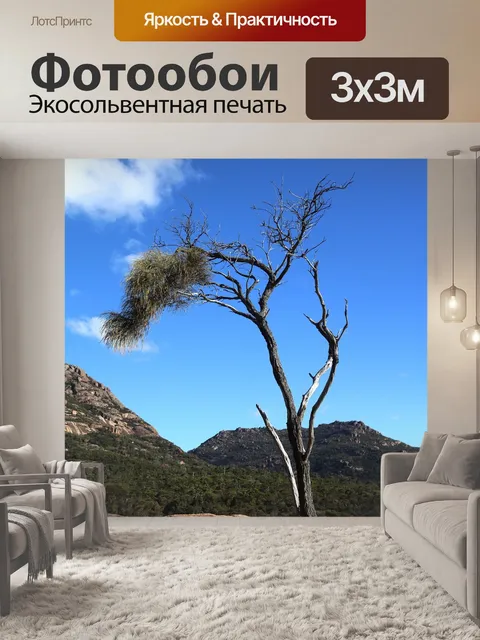 Фотообои Дерево