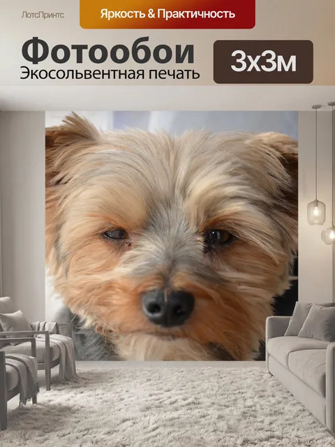 Фотообои Йорк
