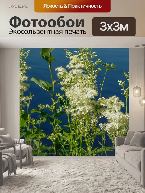 Фотообои Цветы