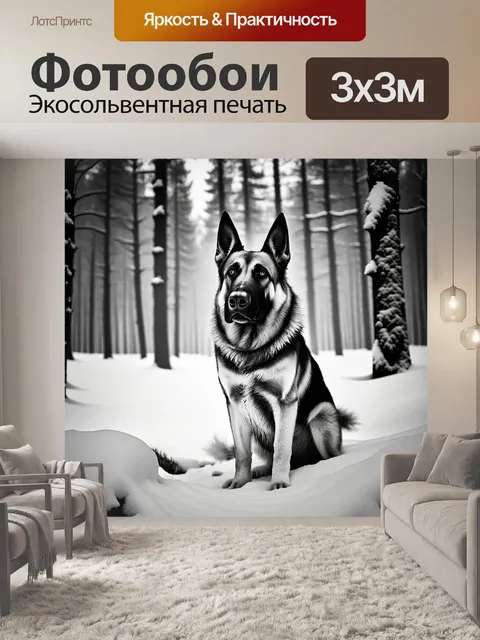 Фотообои описание: создайте атмосферный снимок немецкой овчарки в зимнем лесу, окруженной снегом и замёрзшими деревьями