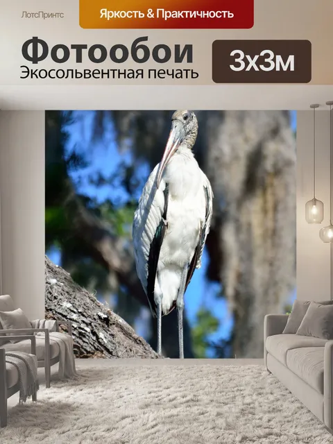 Фотообои Дерево Аист