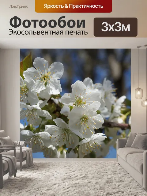 Фотообои Цветение вишни