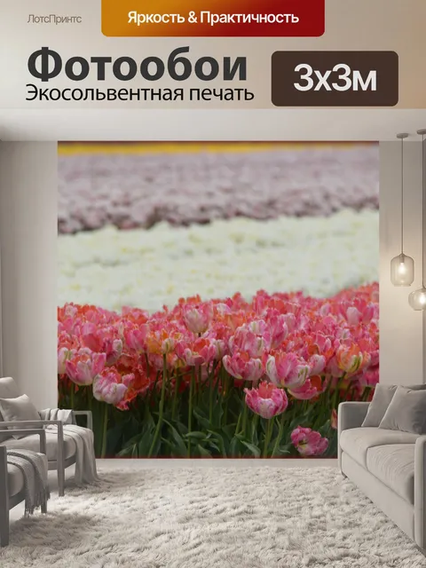 Фотообои Тюльпаны поле 1