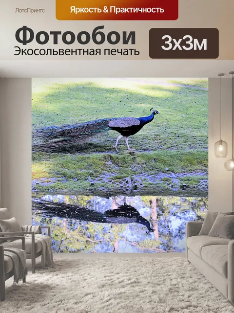Фотообои Павлин