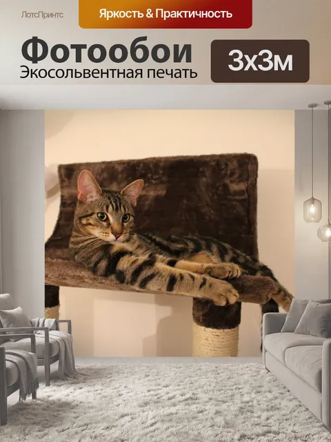 Фотообои Кошка