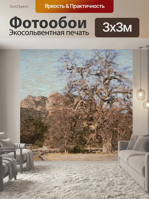 Фотообои Голые деревья в сельской местности