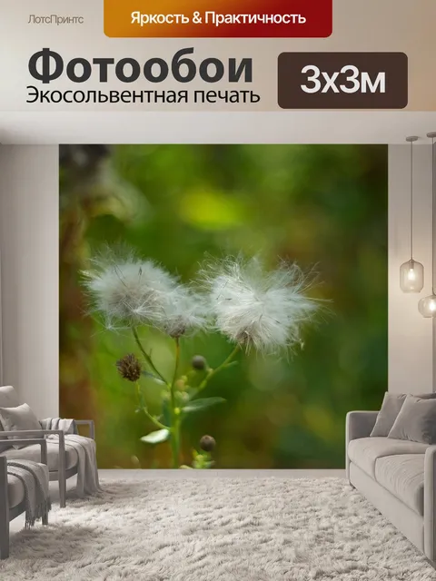 Фотообои Одуванчик