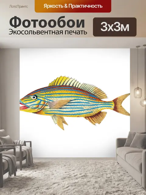 Фотообои Клипарт Fish vintage art