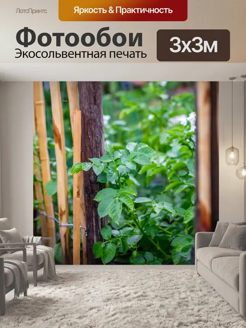 Фотообои Сад