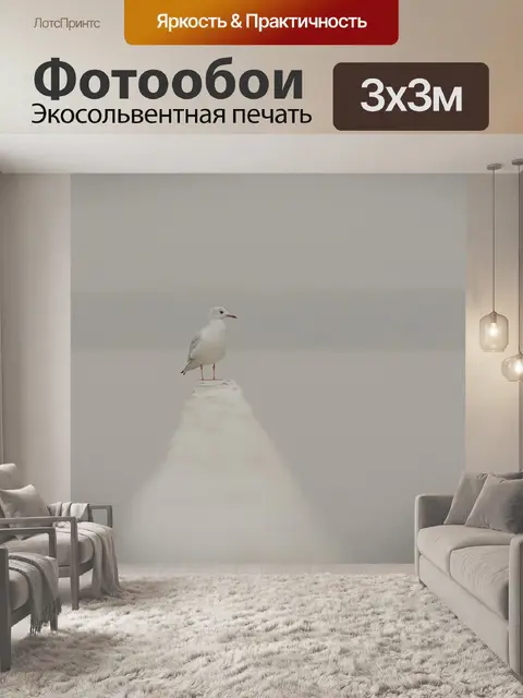 Фотообои Чайка