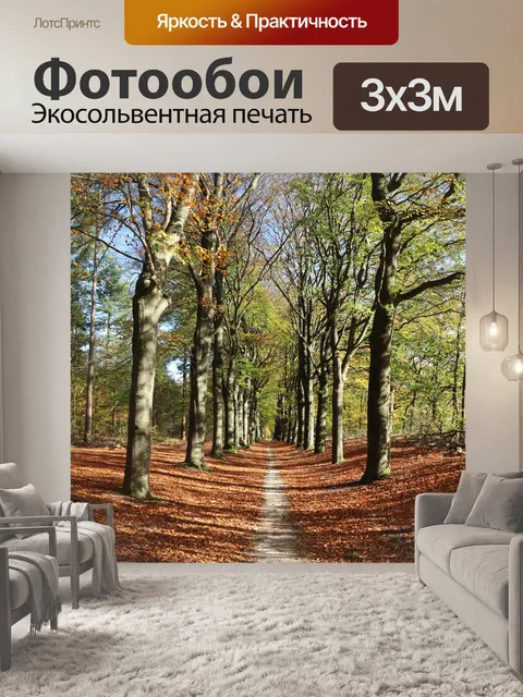 Фотообои Лес