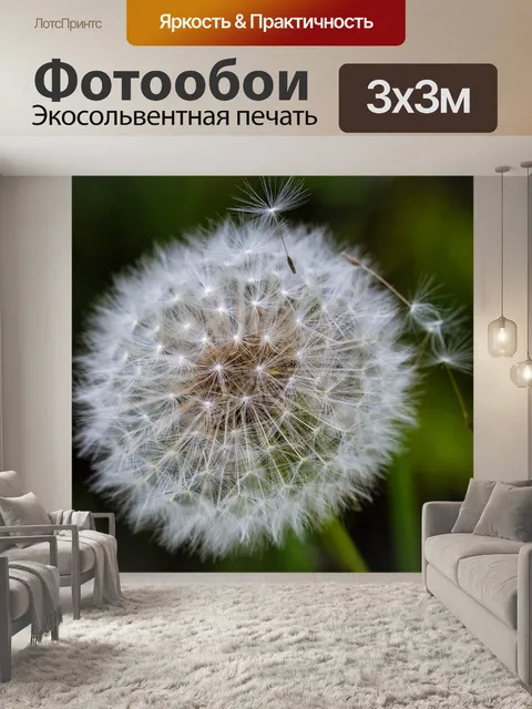 Фотообои Одуванчик