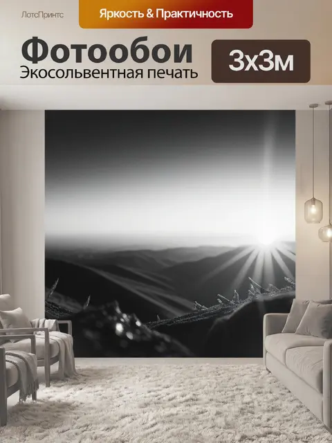 Фотообои фото пейзаж с закатом чернобелый