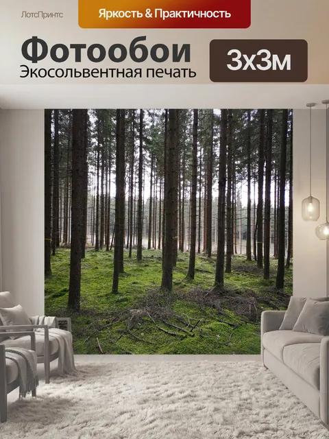Фотообои Лес
