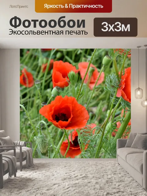 Фотообои Маки