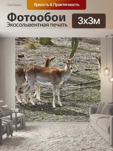 Фотообои Олень