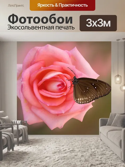 Фотообои Роза