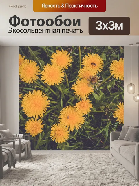 Фотообои Полевые цветы