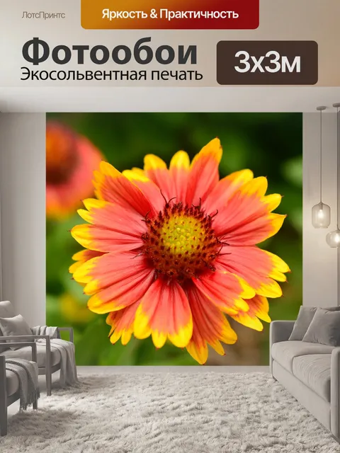 Фотообои Цветы