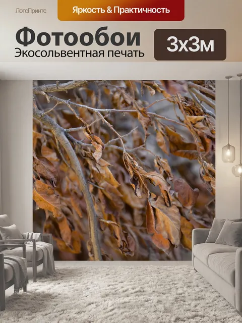 Фотообои Осень