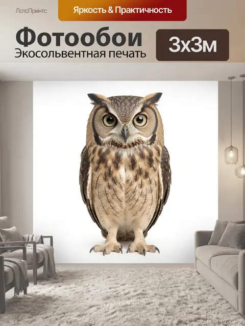 Фотообои Реалистичная сова на белом фоне