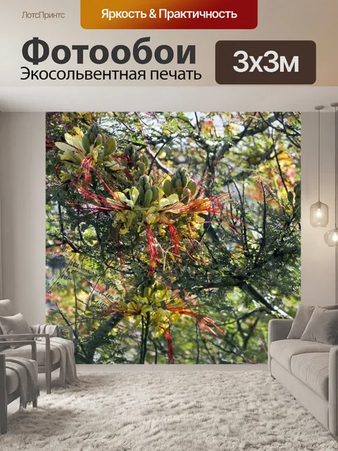 Фотообои Пустынные цветы