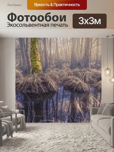 Фотообои Лес